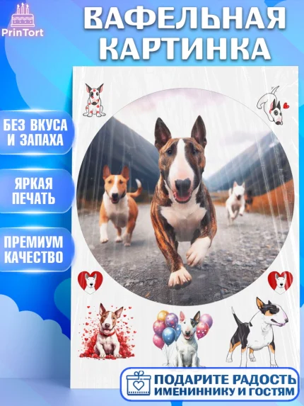 Вафельная картинка, Бультерьер, Собака, Девочка, День рождения, арт. PT218323