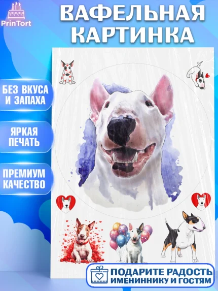 Вафельная картинка, Бультерьер, Собака, Девочка, День рождения, арт. PT218326