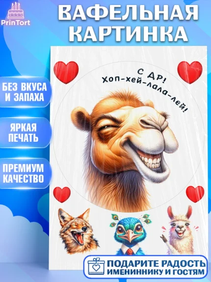 Вафельная картинка, Прикольные животные, звери, животные, забавные животные, Девочка, День рождения, арт. PT218450