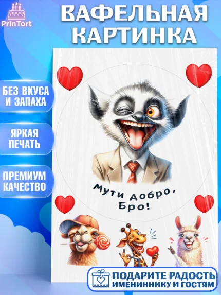 Вафельная картинка, Прикольные животные, звери, животные, забавные животные, Девочка, День рождения, арт. PT218451
