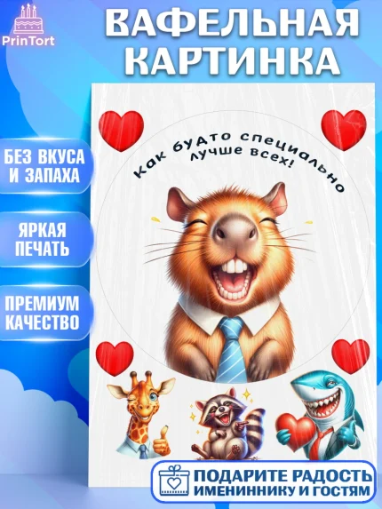 Вафельная картинка, Прикольные животные, суслик, хомяк, животное. звери, зававные животные, енот, арт. PT218456