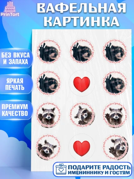 Вафельная картинка, Енот Педро-педро, Енот, педро-педро, танцующий енот, Девочка, День рождения, арт. PT218477