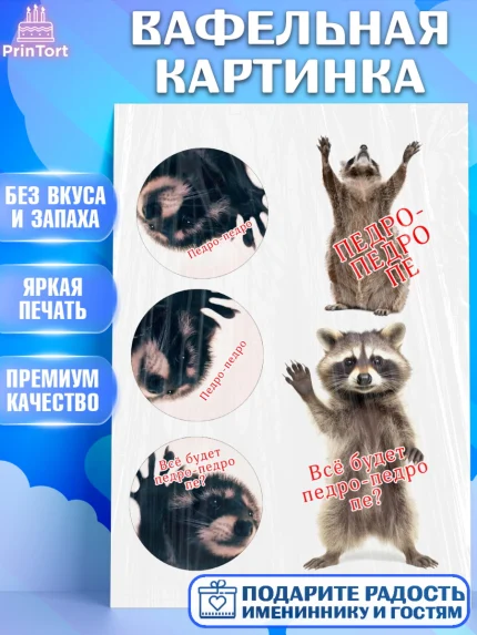 Вафельная картинка, Енот Педро-педро, Енот, педро-педро, танцующий енот, Девочка, День рождения, арт. PT218478