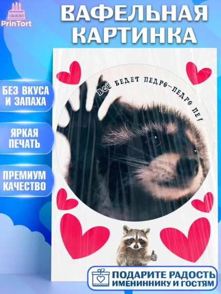 Вафельная картинка, Енот Педро-педро, Енот, педро-педро, танцующий енот, Девочка, День рождения, арт. PT218479