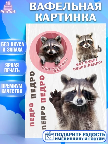 Вафельная картинка, Енот Педро-педро, Енот, педро-педро, танцующий енот, Девочка, День рождения, арт. PT218481