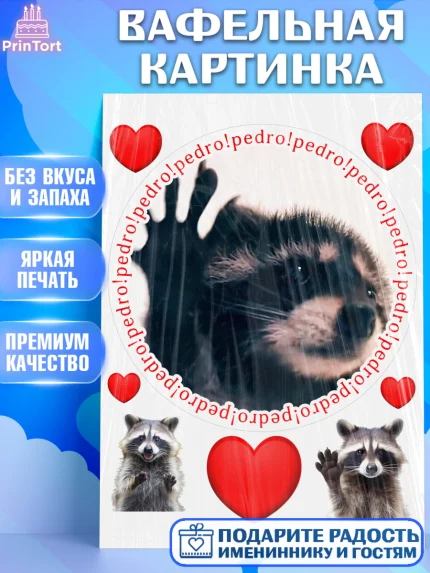 Вафельная картинка, Енот Педро-педро, Енот, педро-педро, танцующий енот, Девочка, День рождения, арт. PT218482