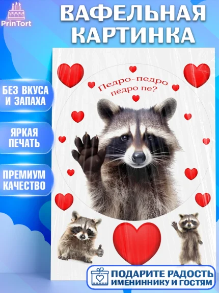 Вафельная картинка, Енот Педро-педро, Енот, педро-педро, танцующий енот, Девочка, День рождения, арт. PT218483