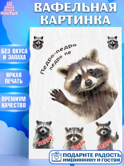 Вафельная картинка, Енот Педро-педро, Енот, педро-педро, танцующий енот, Девочка, День рождения, арт. PT218484