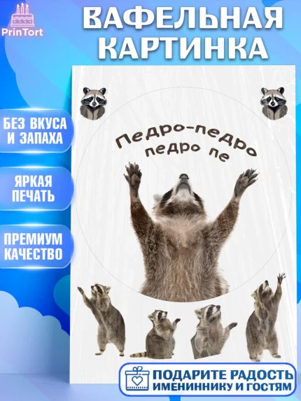 Вафельная картинка, Енот Педро-педро, Енот, педро-педро, танцующий енот, Девочка, День рождения, арт. PT218485