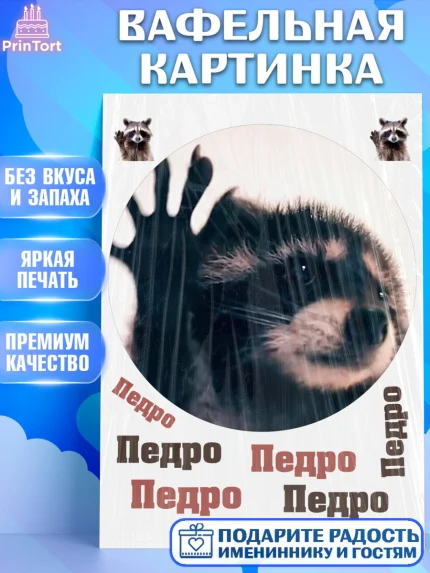 Вафельная картинка, Енот Педро-педро, Енот, педро-педро, танцующий енот, Девочка, День рождения, арт. PT218486