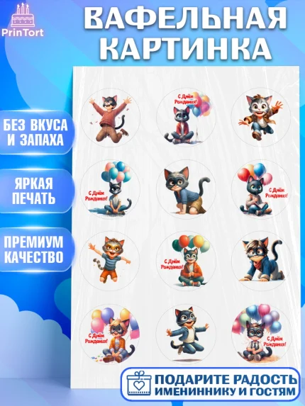Вафельная картинка, Квадробика мальчики, мальчик, подросток, квадробика, маска кота, маска, арт. PT218861