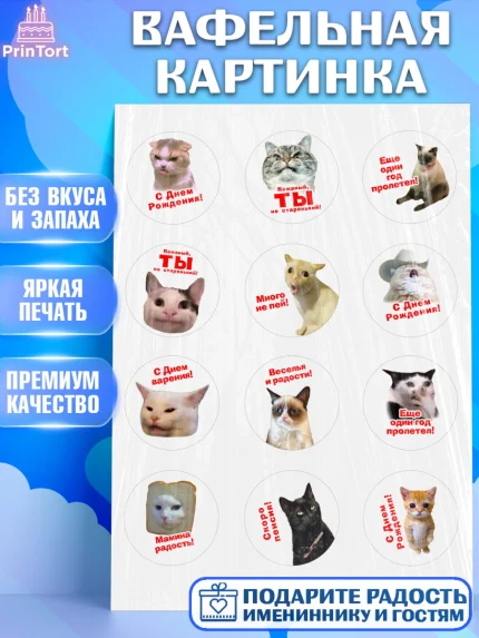 Вафельная картинка, Мемы и коты, кот, мемный кот, кошка, приколы, Девочка, День рождения, арт. PT219319