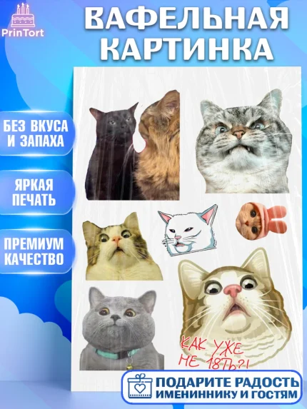 Вафельная картинка, Мемы и коты, кот, мемный кот, кошка, приколы, Девочка, День рождения, арт. PT219320