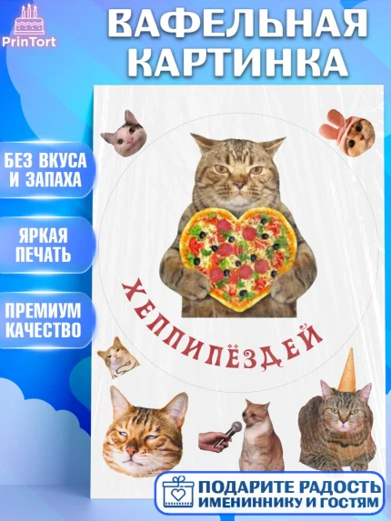 Вафельная картинка, Мемы и коты, кот, мемный кот, кошка, приколы, Девочка, День рождения, арт. PT219321