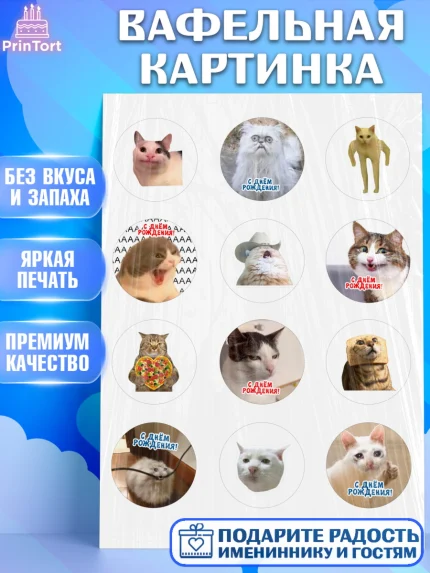 Вафельная картинка, Мемы и коты, кот, мемный кот, кошка, приколы, Девочка, День рождения, арт. PT219322