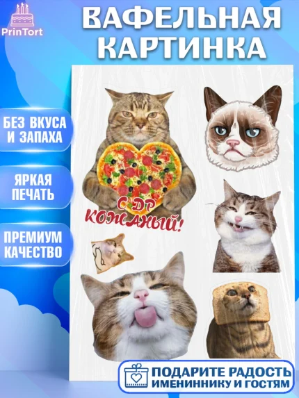 Вафельная картинка, Мемы и коты, кот, мемный кот, кошка, приколы, Девочка, День рождения, арт. PT219323