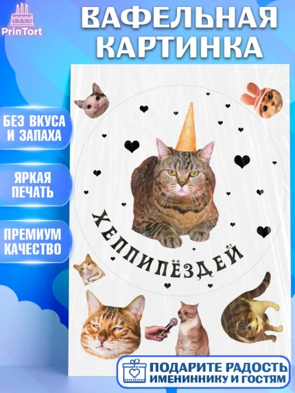 Вафельная картинка, Мемы и коты, кот, мемный кот, кошка, приколы, Девочка, День рождения, арт. PT219324