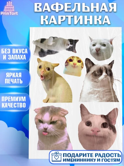Вафельная картинка, Мемы и коты, кот, мемный кот, кошка, приколы, Девочка, День рождения, арт. PT219326