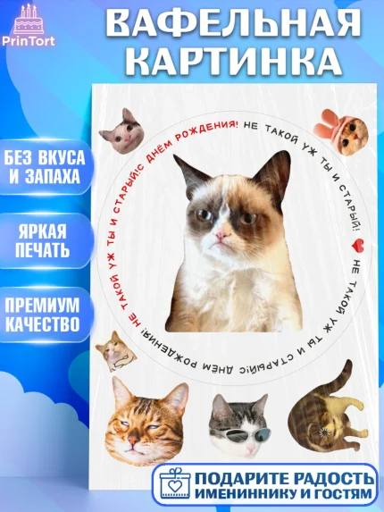 Вафельная картинка, Мемы и коты, кот, мемный кот, кошка, приколы, Девочка, День рождения, арт. PT219327