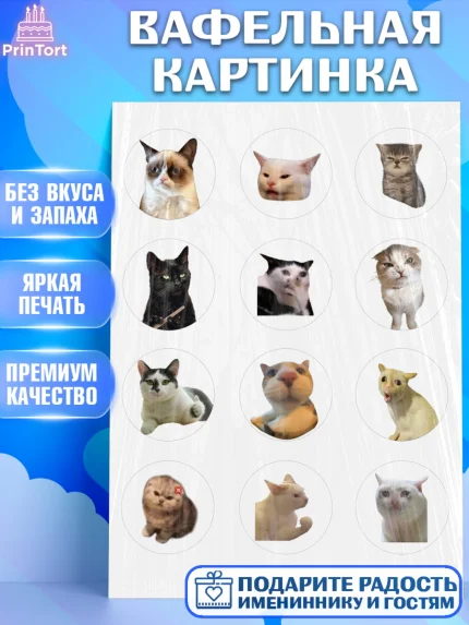 Вафельная картинка, Мемы и коты, кот, мемный кот, кошка, приколы, Девочка, День рождения, арт. PT219328