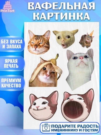 Вафельная картинка, Мемы и коты, кот, мемный кот, кошка, приколы, Девочка, День рождения, арт. PT219329