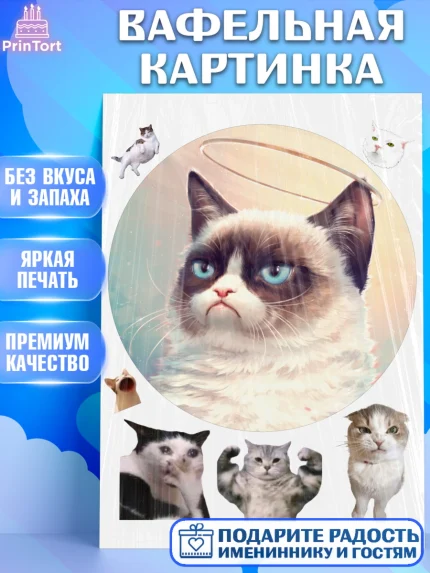 Вафельная картинка, Мемы и коты, кот, мемный кот, кошка, приколы, Девочка, День рождения, арт. PT219330