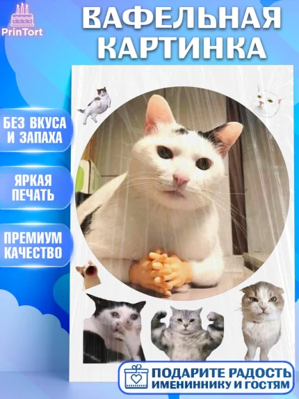 Вафельная картинка, Мемы и коты, кот, мемный кот, кошка, приколы, Девочка, День рождения, арт. PT219331