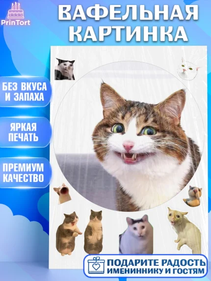 Вафельная картинка, Мемы и коты, кот, мемный кот, кошка, приколы, Девочка, День рождения, арт. PT219332