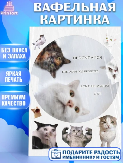 Вафельная картинка, Мемы и коты, кот, мемный кот, кошка, приколы, Девочка, День рождения, арт. PT219333