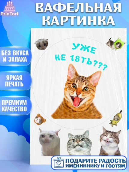 Вафельная картинка, Мемы и коты, кот, мемный кот, кошка, приколы, Девочка, День рождения, арт. PT219334