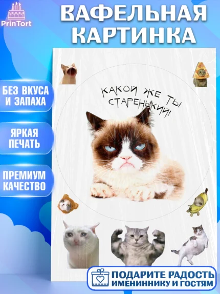 Вафельная картинка, Мемы и коты, кот, мемный кот, кошка, приколы, Девочка, День рождения, арт. PT219335