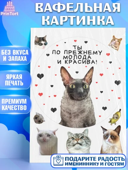 Вафельная картинка, Мемы и коты, кот, мемный кот, кошка, приколы, Девочка, День рождения, арт. PT219336