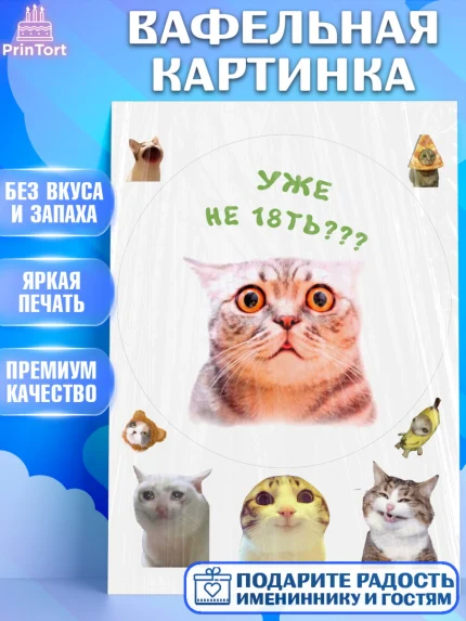 Вафельная картинка, Мемы и коты, кот, мемный кот, кошка, приколы, Девочка, День рождения, арт. PT219337