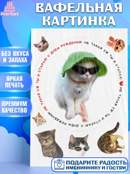 Вафельная картинка, Мемы и коты, кот, мемный кот, кошка, приколы, Девочка, День рождения, арт. PT219338