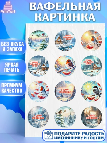 Вафельная картинка, Зима, зимние пейзажи, природа, Девочка, День рождения, арт. PT219342