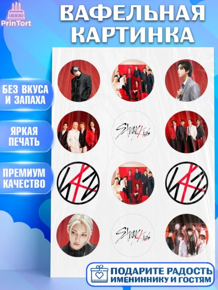 Вафельная картинка, Стрей Кидс, Музыкальная группа, Группа Stray Kids, Stray Kids, Девочка, арт. PT220060