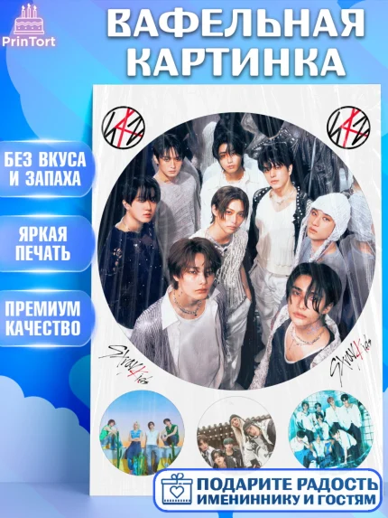 Вафельная картинка, Стрей Кидс, Музыкальная группа, Группа Stray Kids, Stray Kids, Девочка, арт. PT220062