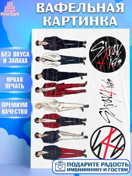 Вафельная картинка, Стрей Кидс, Музыкальная группа, Группа Stray Kids, Stray Kids, Девочка, арт. PT220064