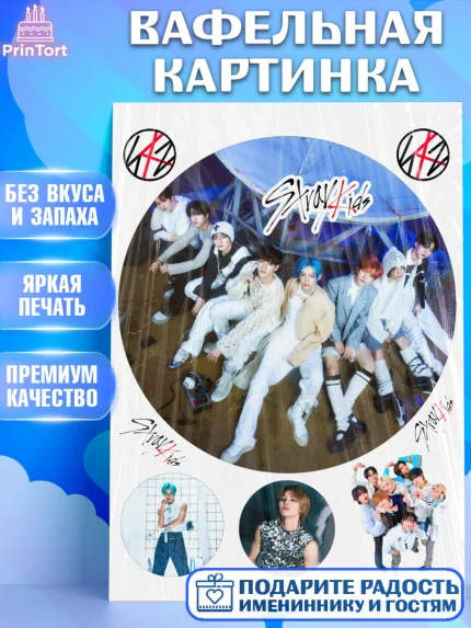 Вафельная картинка, Стрей Кидс, Музыкальная группа, Группа Stray Kids, Stray Kids, Девочка, арт. PT220065