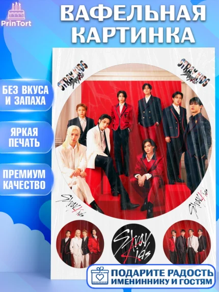 Вафельная картинка, Стрей Кидс, Музыкальная группа, Группа Stray Kids, Stray Kids, Девочка, арт. PT220069