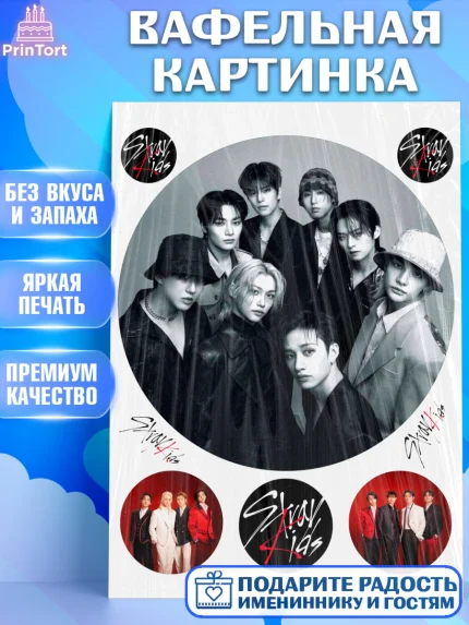 Вафельная картинка, Стрей Кидс, Музыкальная группа, Группа Stray Kids, Stray Kids, Девочка, арт. PT220070