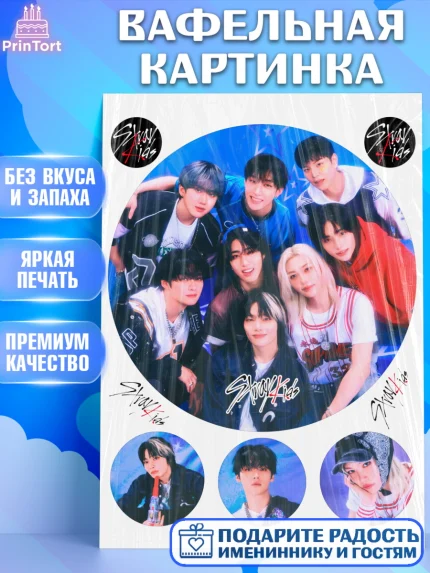 Вафельная картинка, Стрей Кидс, Музыкальная группа, Группа Stray Kids, Stray Kids, Девочка, арт. PT220072