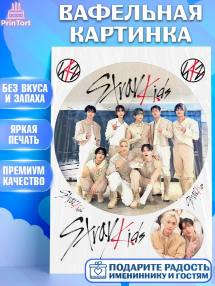 Вафельная картинка, Стрей Кидс, Музыкальная группа, Группа Stray Kids, Stray Kids, Девочка, арт. PT220076