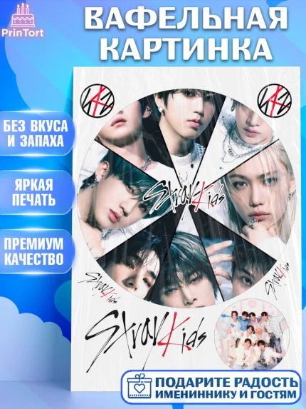 Вафельная картинка, Стрей Кидс, Музыкальная группа, Группа Stray Kids, Stray Kids, Девочка, арт. PT220077