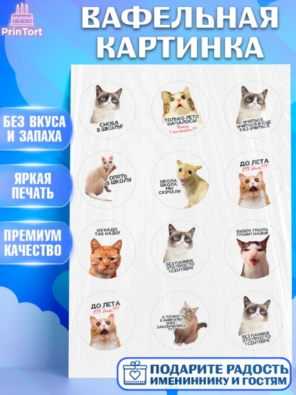 Вафельная картинка, 1 сентября, День знаний, снова в школу, первый раз в первый класс, арт. PT220118