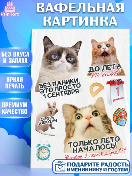 Вафельная картинка, 1 сентября, День знаний, снова в школу, первый раз в первый класс, арт. PT220125