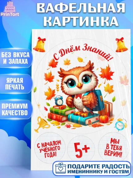 Вафельная картинка, 1 сентября, День знаний, снова в школу, первый раз в первый класс, арт. PT220131