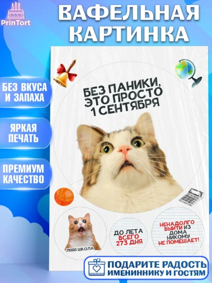 Вафельная картинка, 1 сентября, День знаний, снова в школу, первый раз в первый класс, арт. PT220135