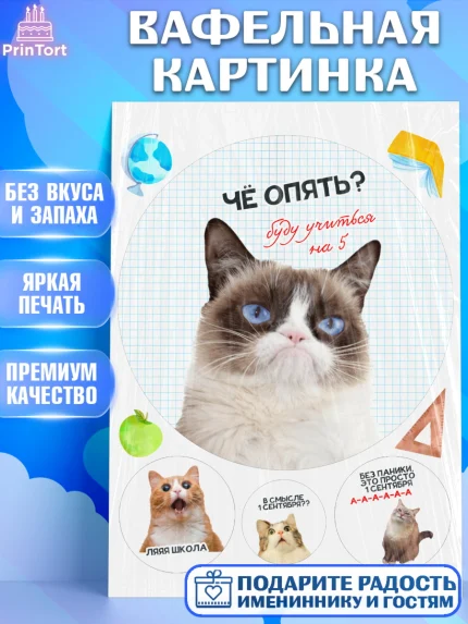 Вафельная картинка, 1 сентября, День знаний, снова в школу, первый раз в первый класс, арт. PT220136