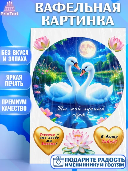 Вафельная картинка, День рождения, Девушка, арт. PT220174